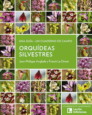 ORQUIDEAS-SILVESTRES.jpg