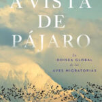 A VISTA DE PÁJARO