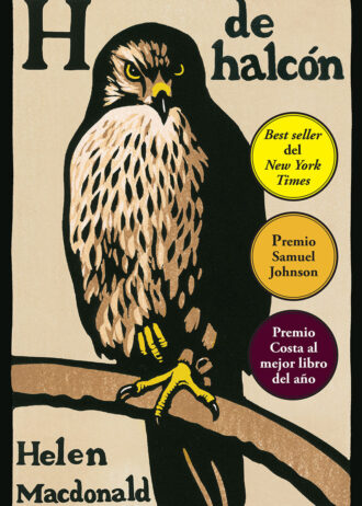 H-DE-HALCON-BOLSILLO.jpg