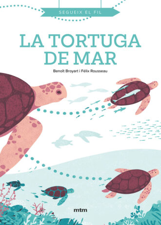 LA-TORTUGA-DE-MAR.jpg