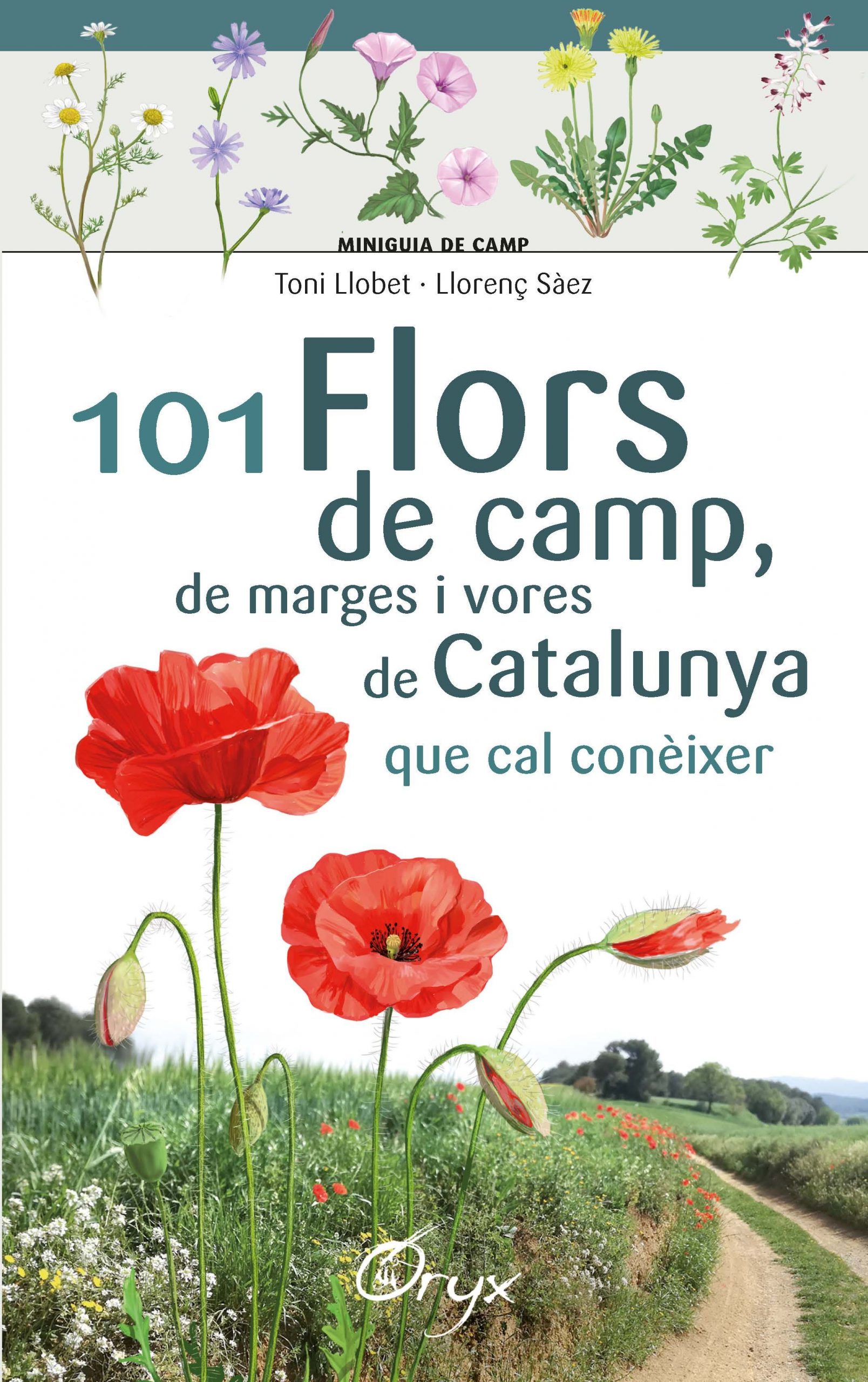 101-FLORS-DE-CAMP-DE-MARGES-I-VORES-DE-CATA.jpg