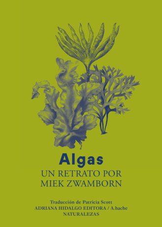 ALGAS.jpg