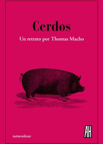 CERDOS.jpg
