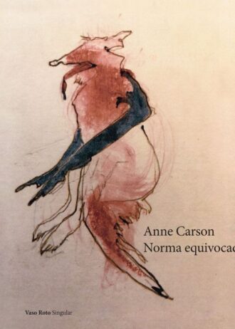 NORMA-EQUIVOCADA-CATALAN.jpg