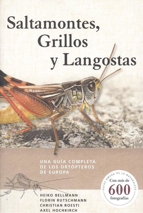 SALTAMONTES-GRILLOS-Y-LANGOSTAS.jpg
