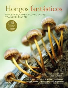HONGOS-FANTASTICOS.jpg