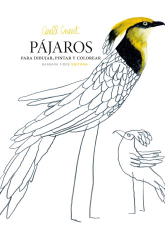 PAJAROS-PARA-DIBUJAR-PINTAR-Y-COLOREAR.jpg