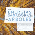 LAS ENERGÍAS SANADORAS DE LOS ÁRBOLES