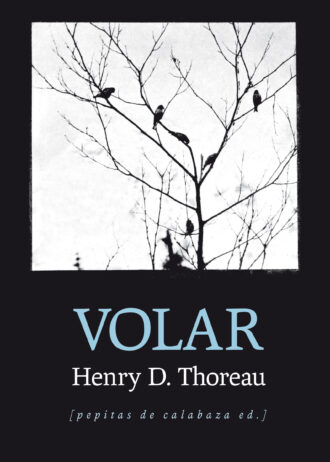 VOLAR.jpg