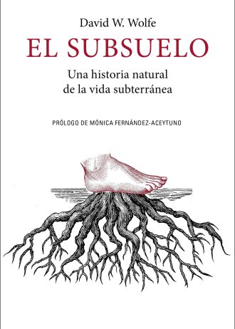 EL-SUBSUELO.jpg