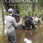 VIVIENDO ENTRE CHIMPANCÉS