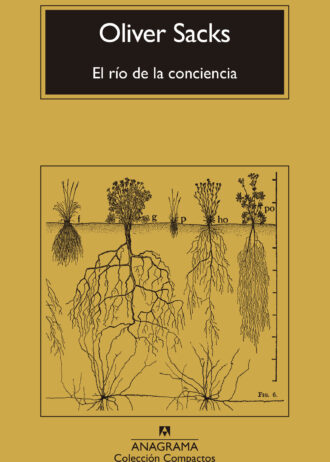 EL-RIO-DE-LA-CONCIENCIA.jpg