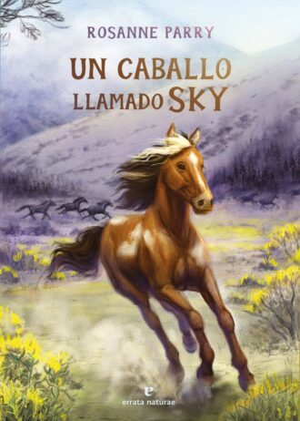 UN-CABALLO-LLAMADO-SKY.jpg