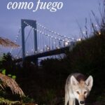VOLVERÁN COMO FUEGO