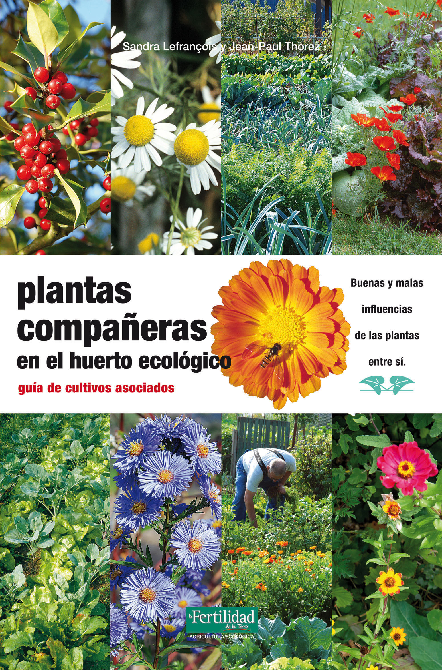 PLANTAS-COMPANERAS-DEL-HUERTO.jpg