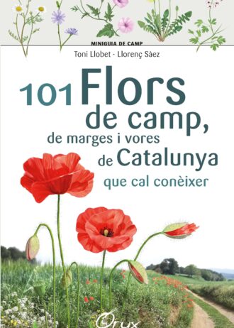 101-FLORS-DE-CAMP-DE-MARGES-I-VORES-DE-CATA.jpg