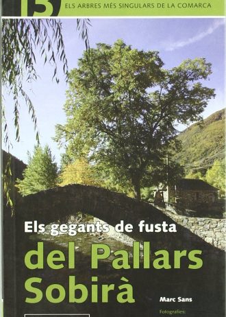 ELS-GEGANTS-DE-FUSTA-PALLARS-SOBIRA.jpg