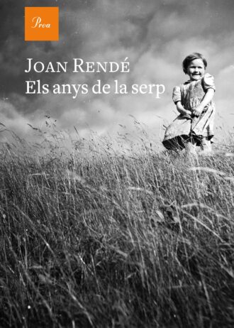 ELS-ANYS-DE-LA-SERP.jpg