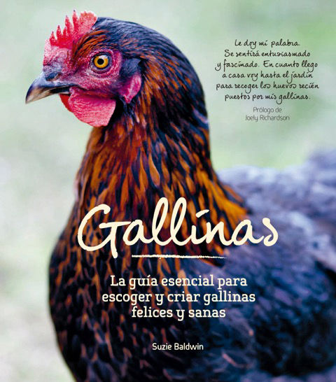 GALLINAS.jpg
