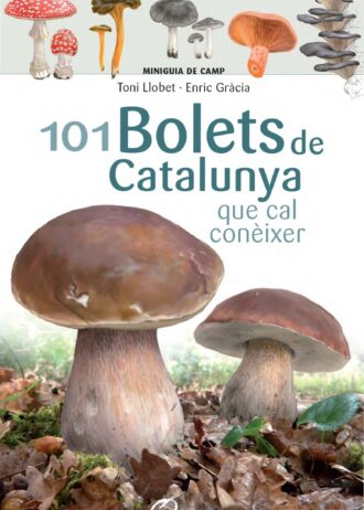 101-BOLETS-DE-CATALUNYA.jpg