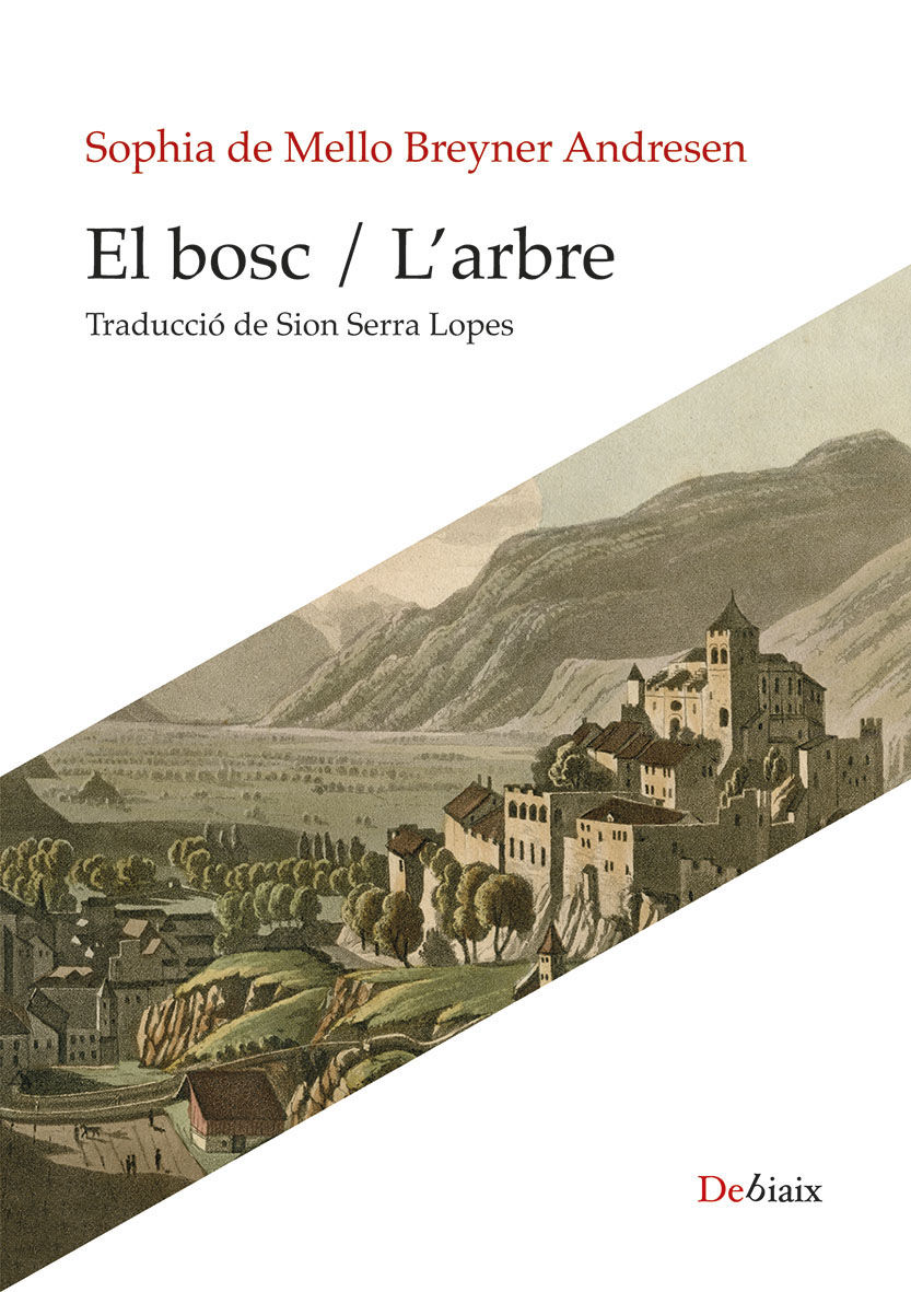EL-BOSC-LARBRE.jpg