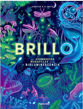 BRILLO.jpg