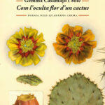 COM L'OCULTA FLOR D'UN CACTUS