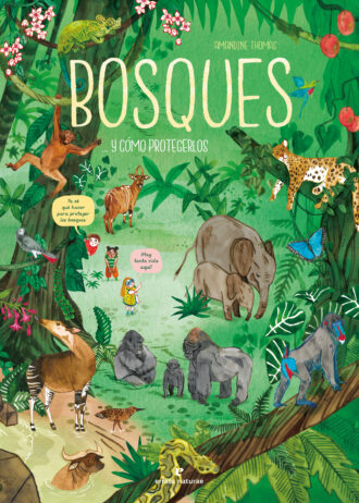 BOSQUES.-Y-COMO-PROTEGERLOS.jpg