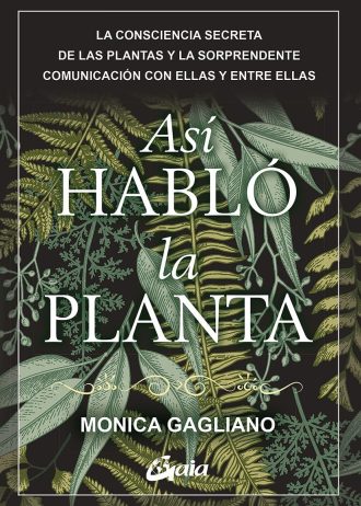 ASI-HABLO-LA-PLANTA.jpg